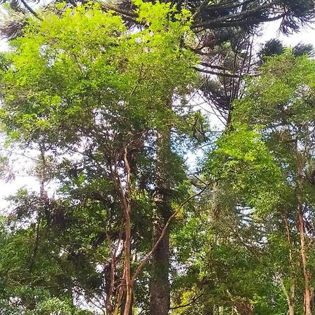 Chacara Rancho Paraiso Piraquara Ngoại thất bức ảnh