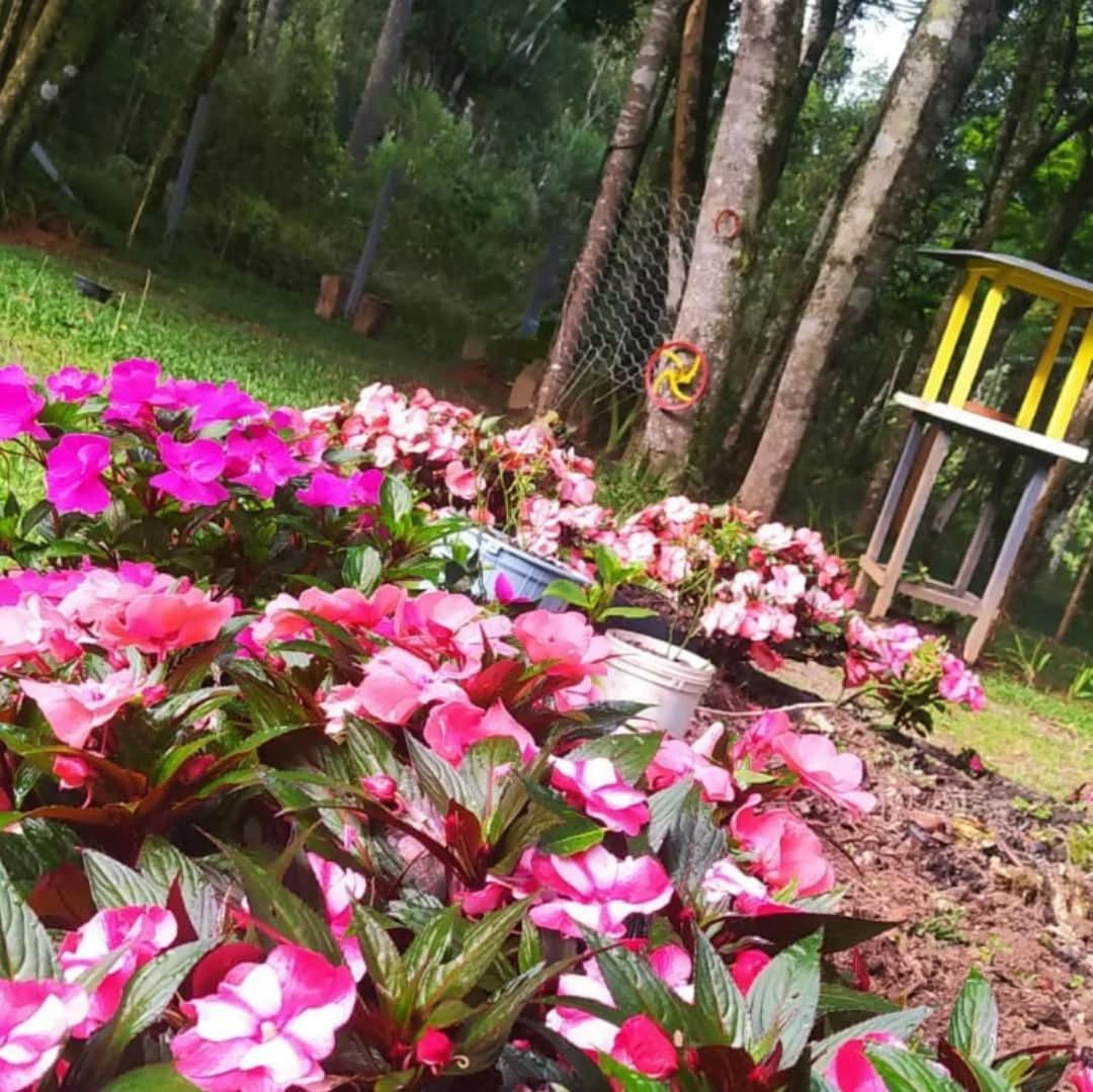 Chacara Rancho Paraiso Piraquara Ngoại thất bức ảnh
