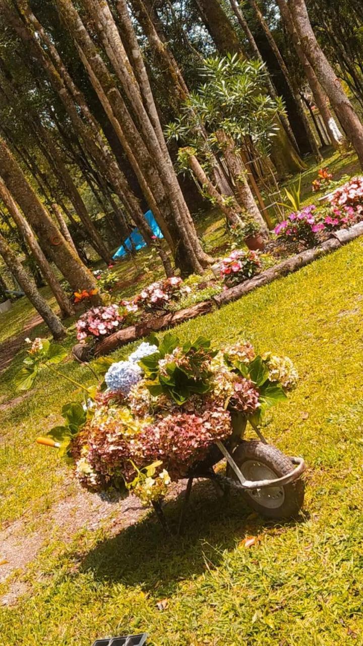 Chacara Rancho Paraiso Piraquara Ngoại thất bức ảnh